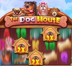 dog house kostenlos spielen ohne anmeldung