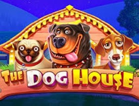 dog house demo
